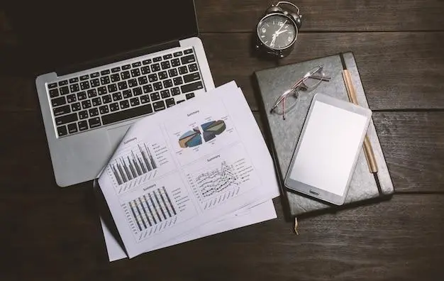 What is a Project Portfolio, who manages it, and a practical example